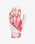 Nike Alpha Varsity Batting Gloves
