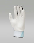 Jordan Fly Select Batting Gloves