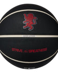 Nike Lebron All Court Basketball Official Size