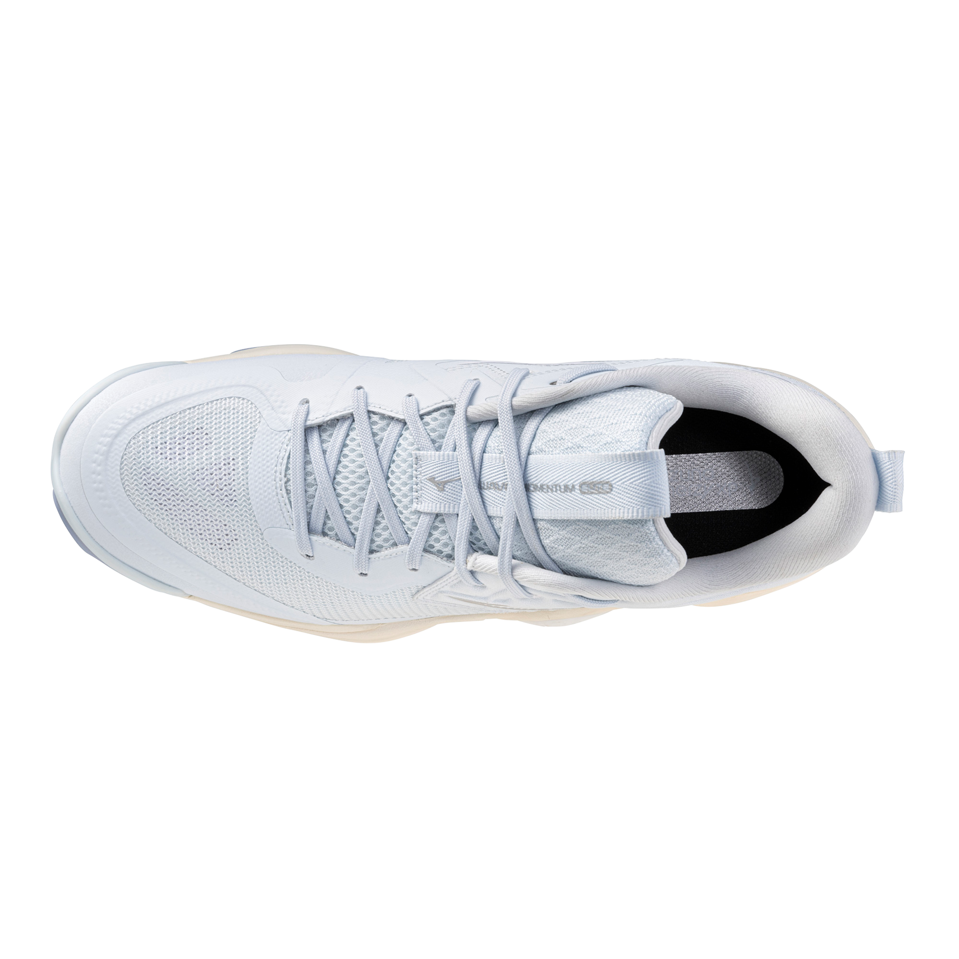 Mizuno Momentum 4 Elite Unisex Volleyball Shoes