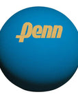 Penn Ultra-Blue 3 Pack Racquetball