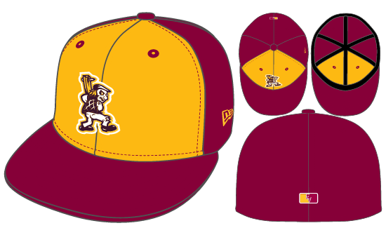 New Era EVBL 2026 Team Baseball Hat