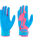 Nike Alpha 2.0 Batting Gloves Adult