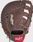 Rawlings Player Preferred First Base Mitt