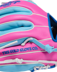 Rawlings RGGC April 2026 HOH 11.25" Baseball Glove
