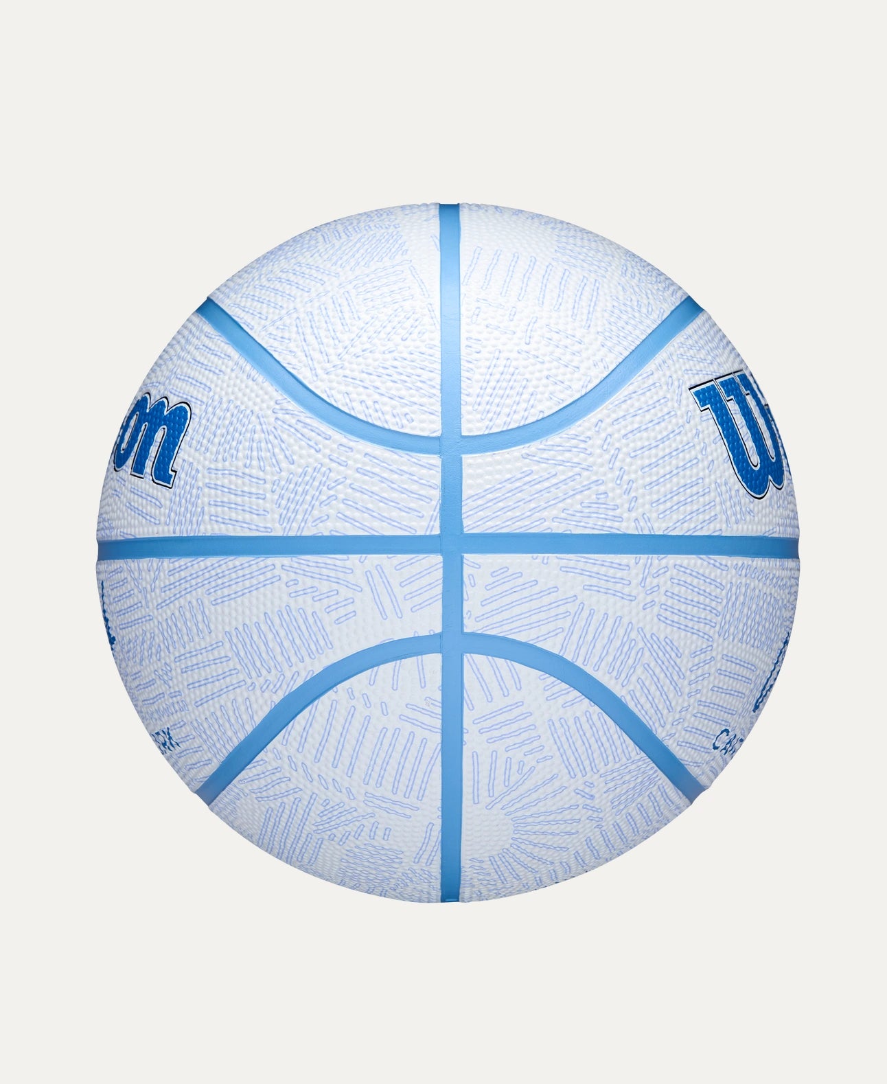 Wilson Caitlyn Clark Envision Basketball