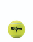 Wilson Champ Extra Duty 4 Pack Tennis Ball